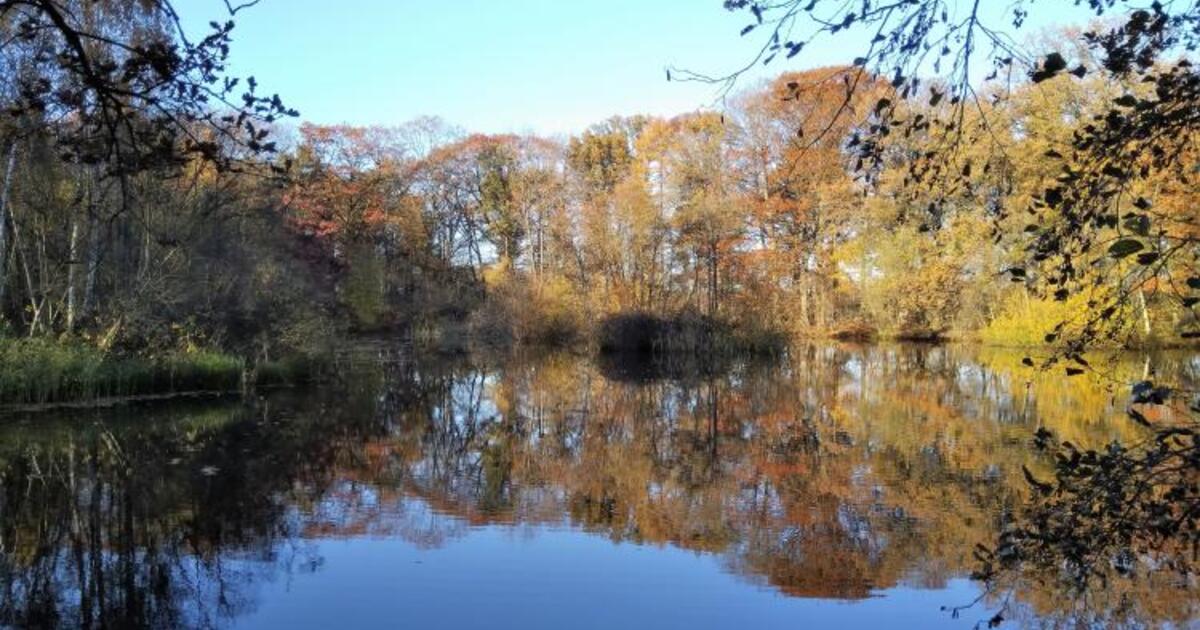 De Breeven Geel 