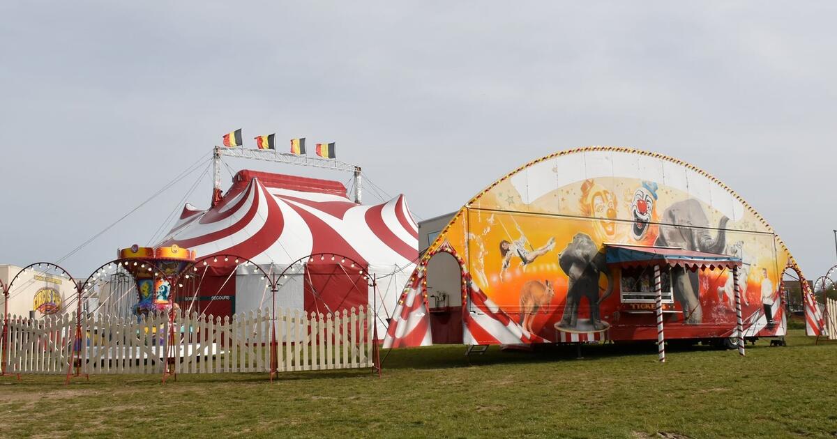 Circus Pipo 