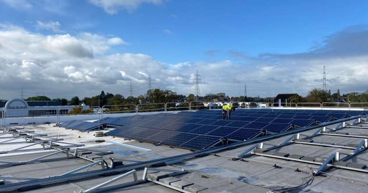 Delhaize groene energie 