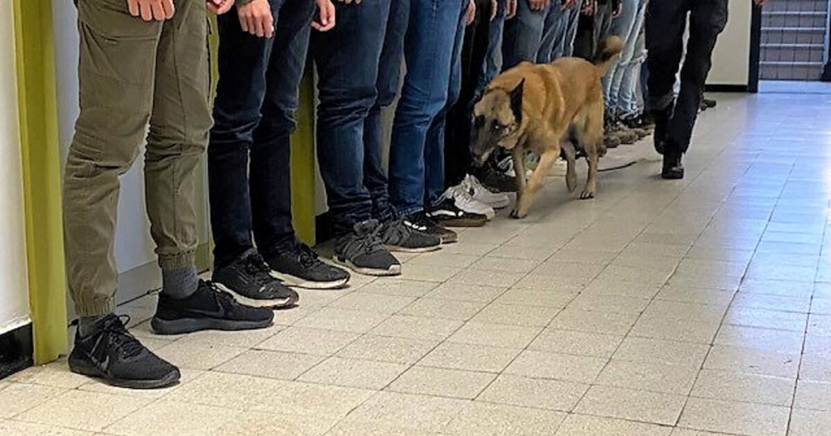 drugshond foto politie rr