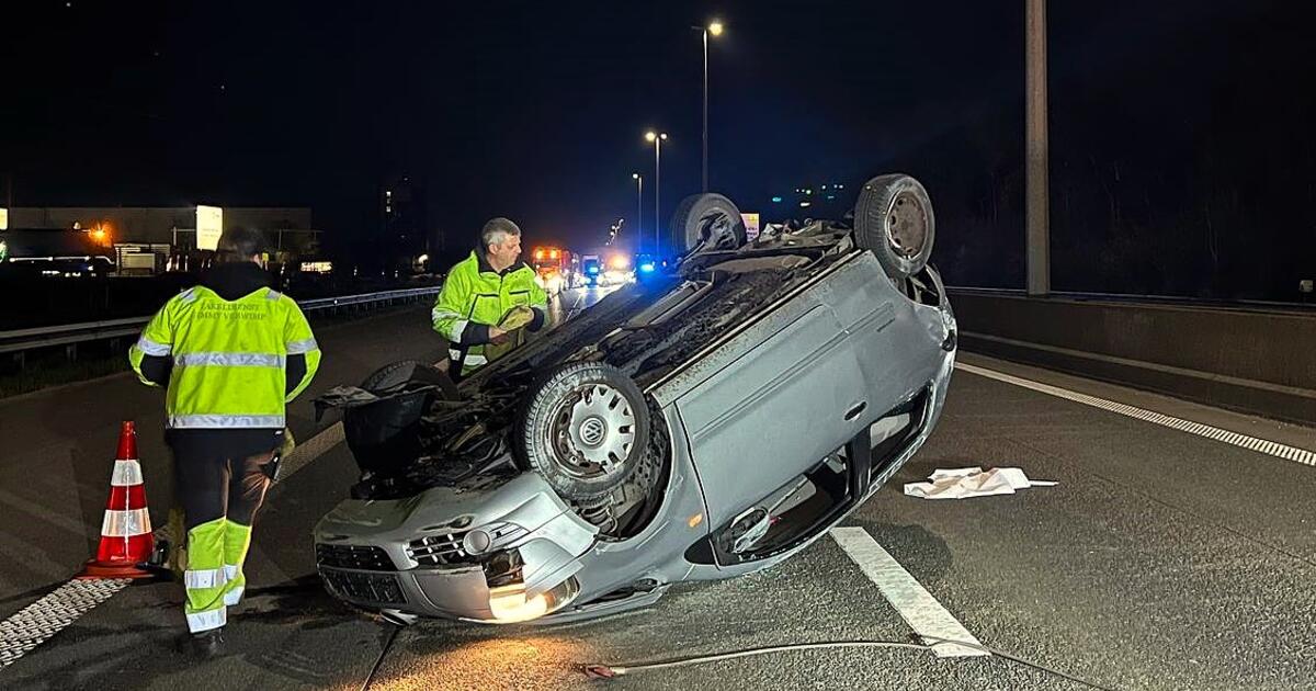 Foto's Stephanie Leys / NNieuws -- E313 ongeval