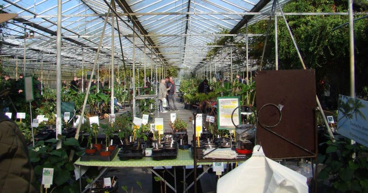 Plantencentrum Exotica 