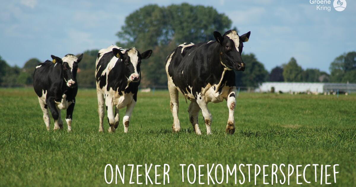 Groen Kring