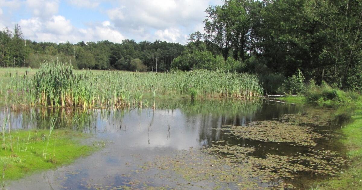 Natuurpunt