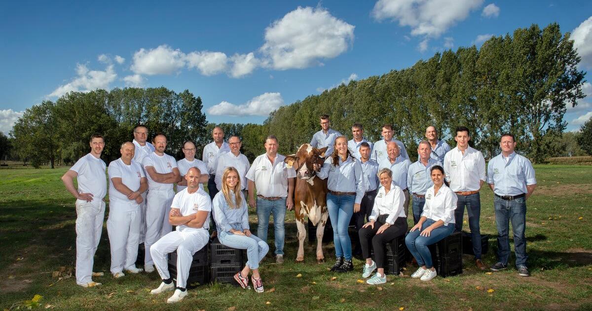 Hollebeekhoeve foto