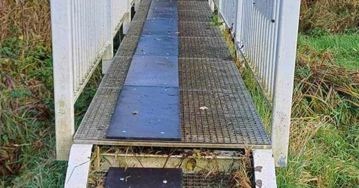 Hondenmatten VMM doorsteekbrug Ringlaan