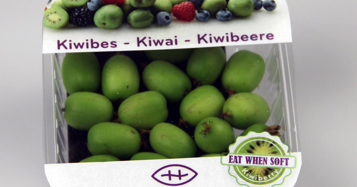 Kwibessen