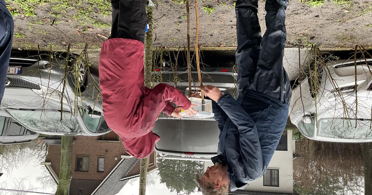 hoornaar val