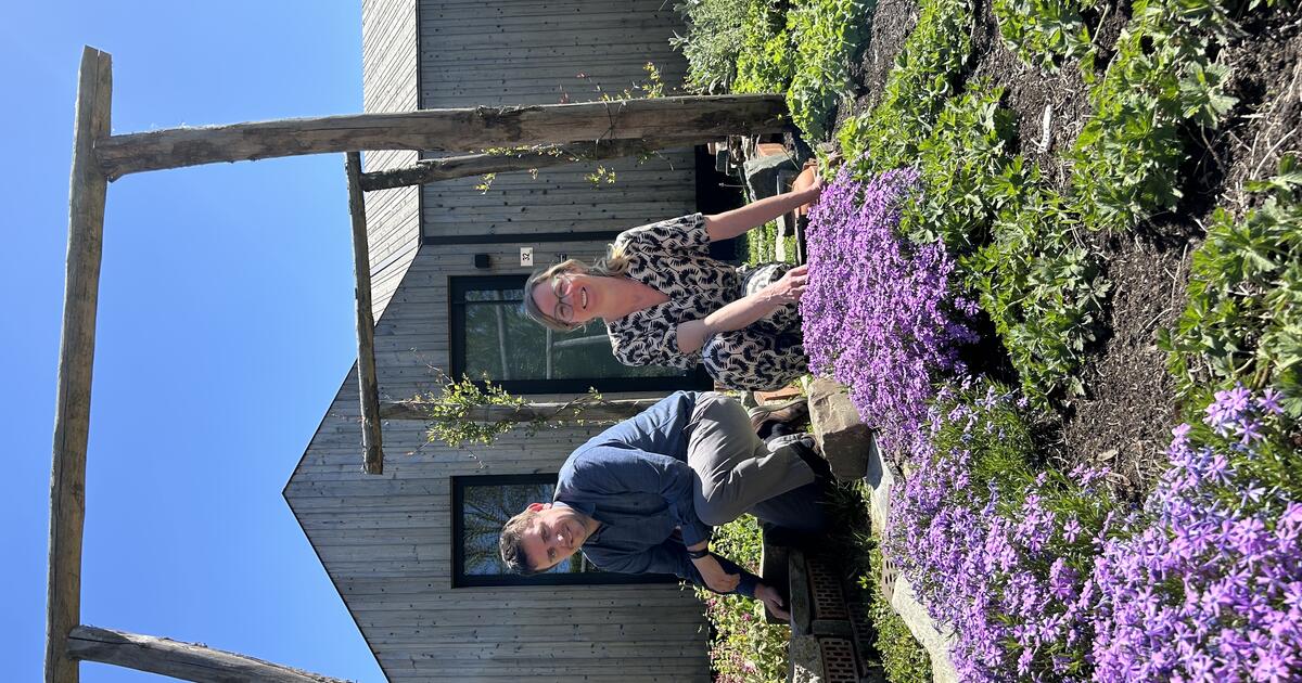 Hier sijpelt het door : voortuin Natasja uit Herselt 