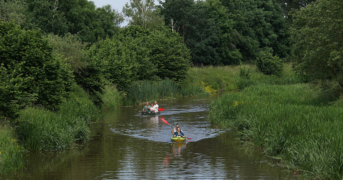 Natuur Nete