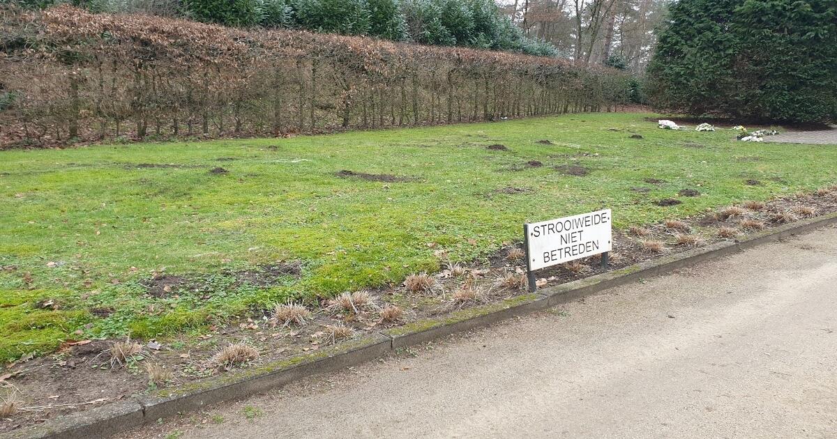 Strooiweide