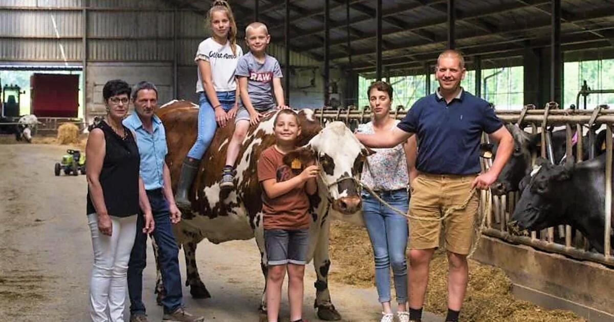Landbouwbedrijf Geel foto rr