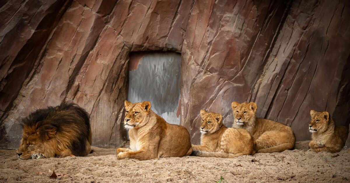 Zoo