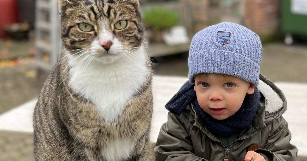 Poes met Maurice