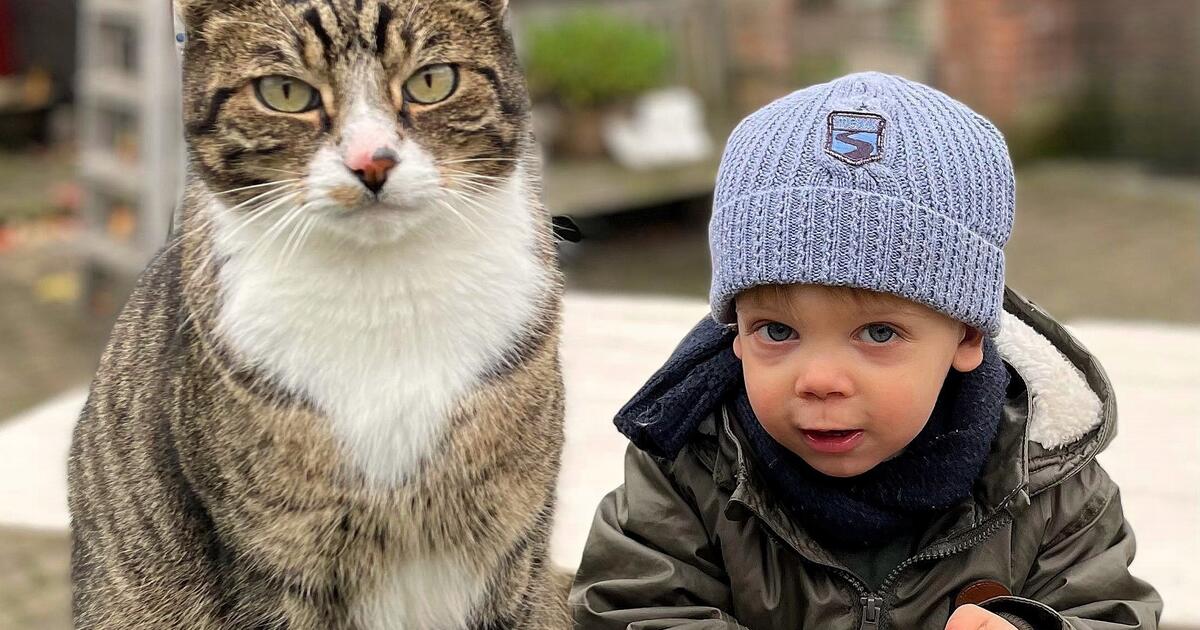 foto NNieuws / Maurice