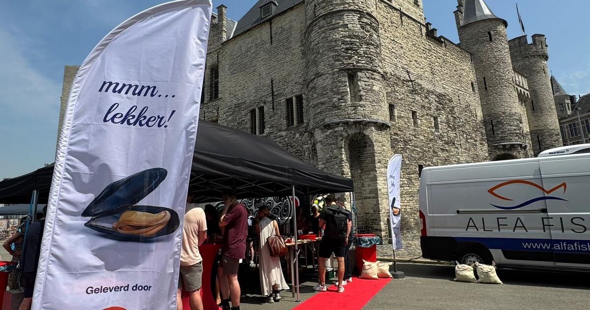 Mosselen Het Steen