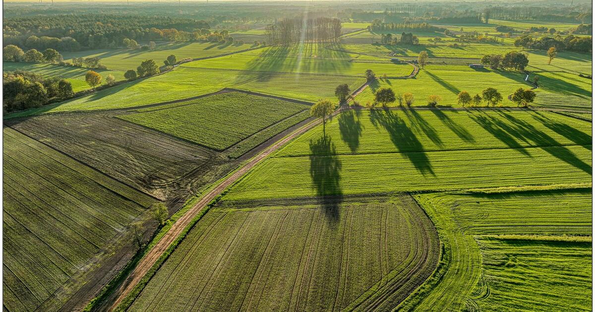 Kempen natuur 