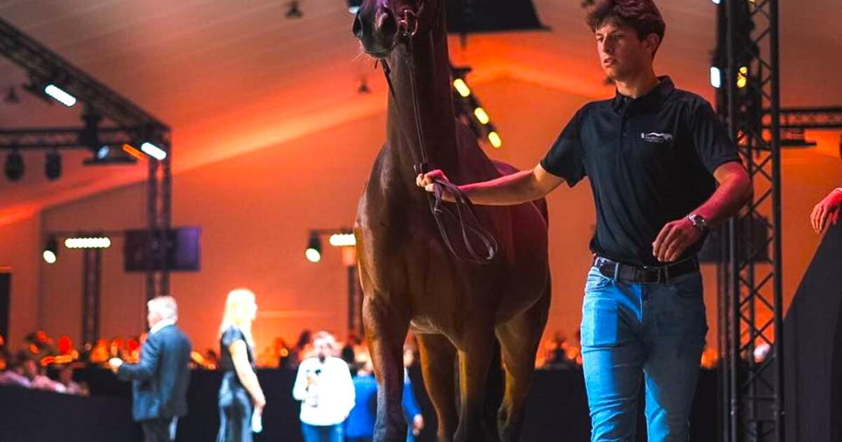 Paardenveiling
