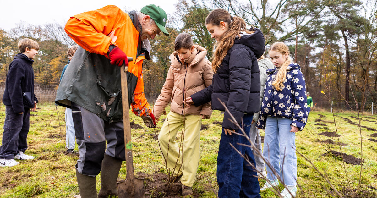 BS Wijngaard planten bomen 