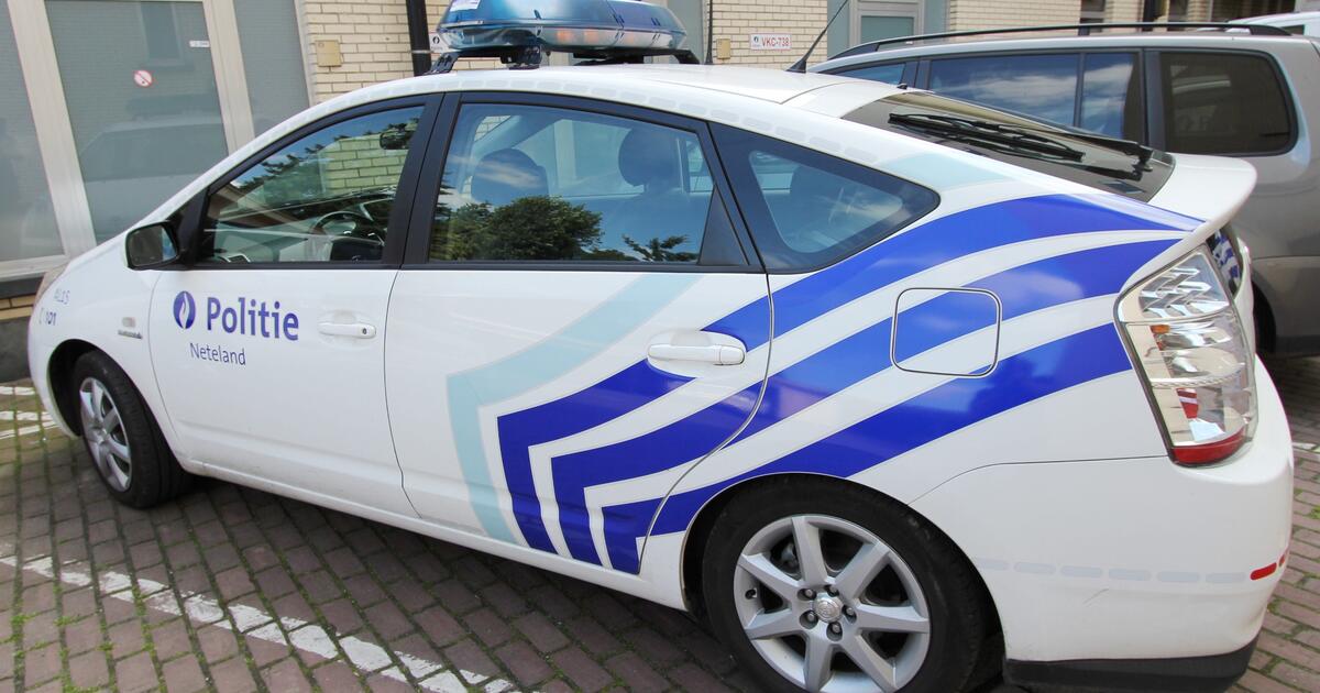 politie Neteland