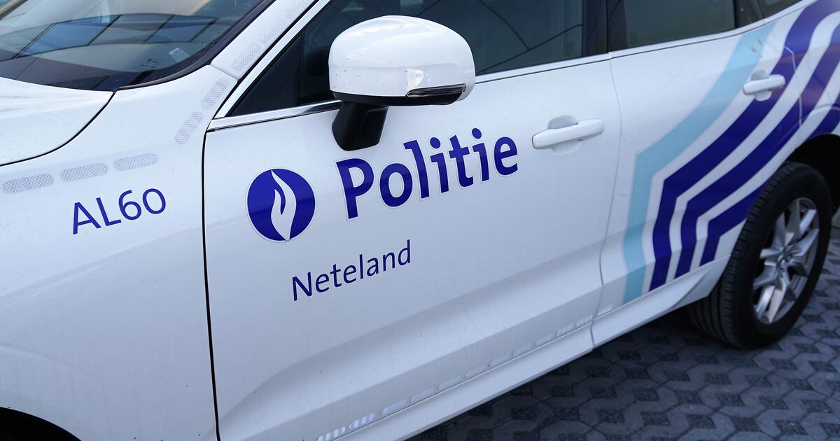 Politie Neteland