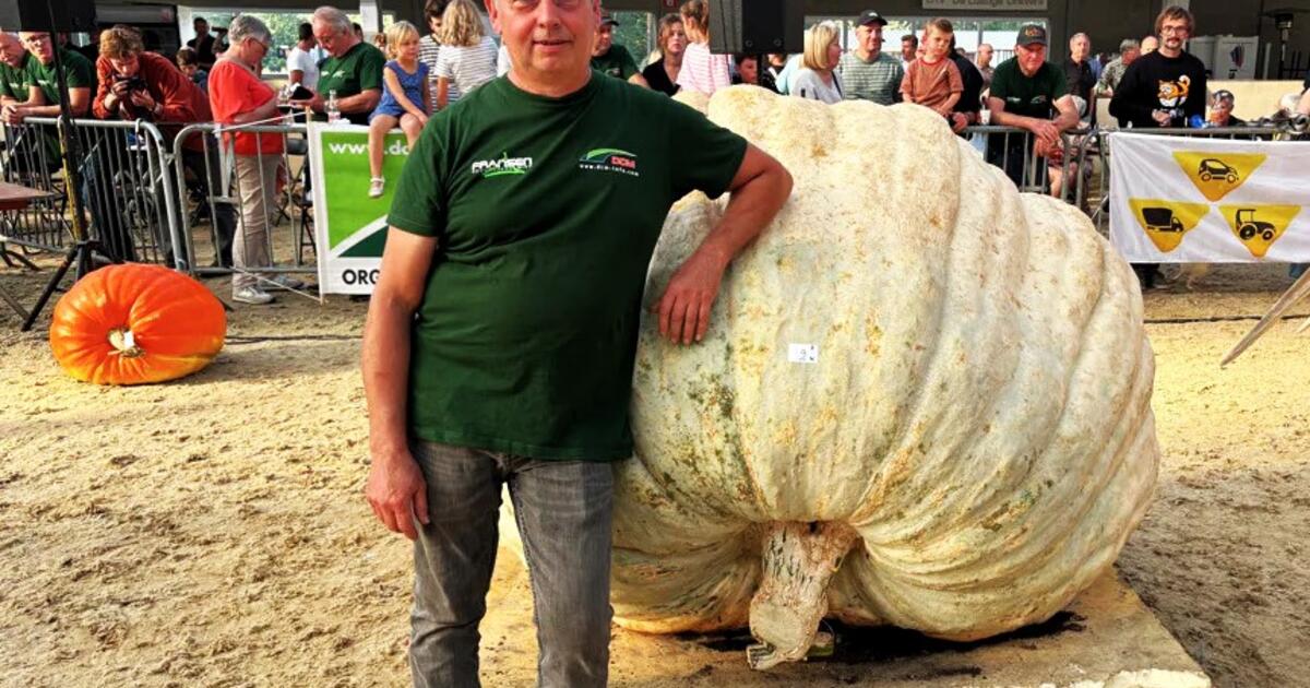 foto nnieuws rr