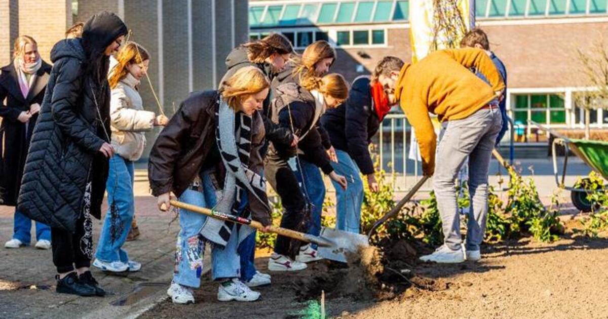 Geëngageerde leerlingen planten hun eigen speelplaats aan - Foto Dieter Daniëls   