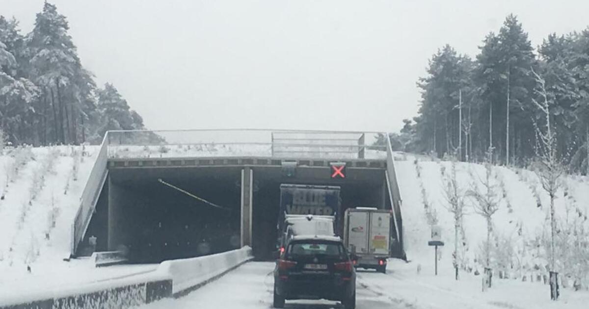 sneeuw