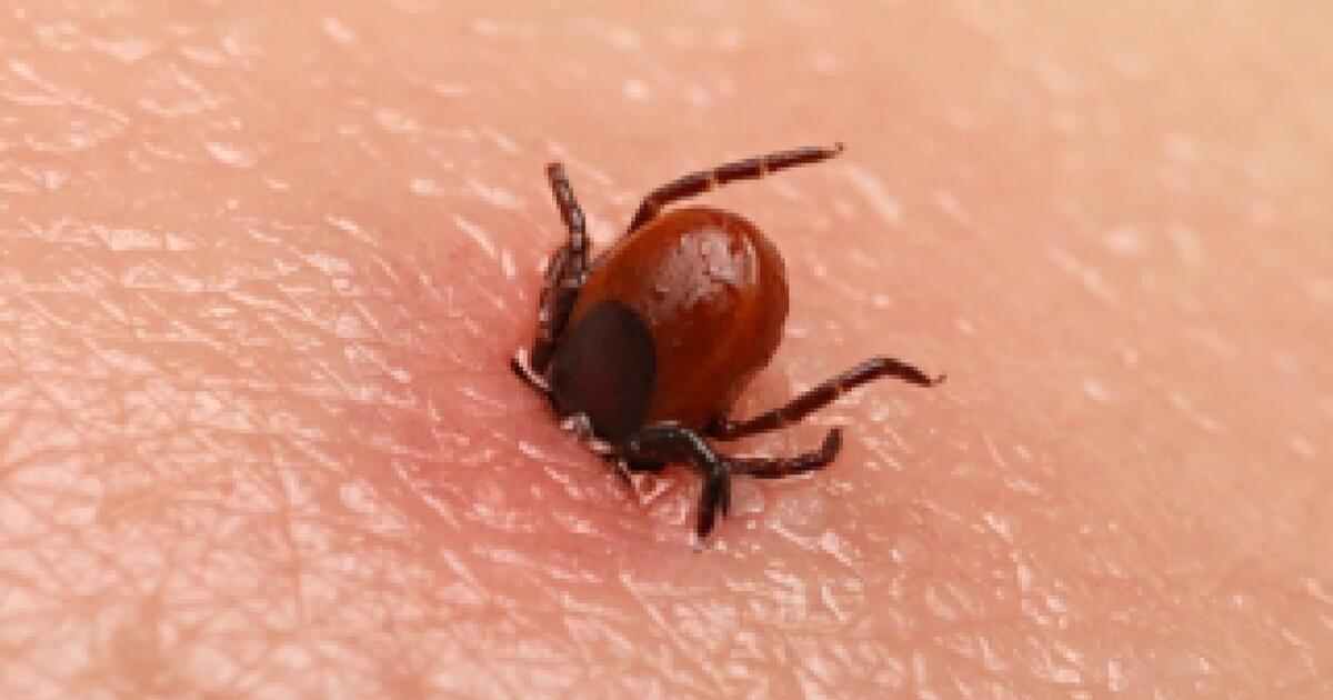 foto gezondheid.be rr