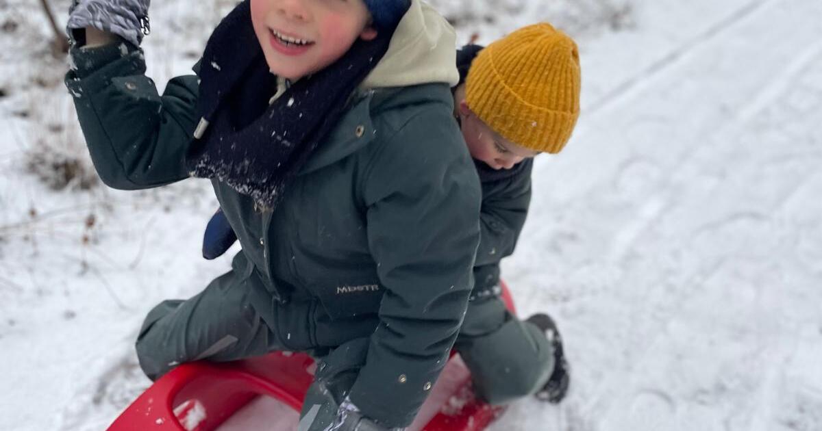 Sneeuwpret in de Herentalse bossen