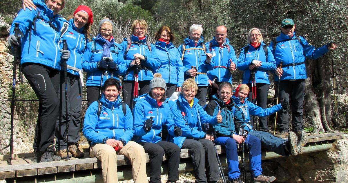 TRANSPLANTOUX  team