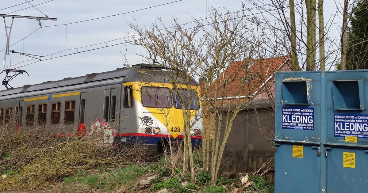 Wijngaard