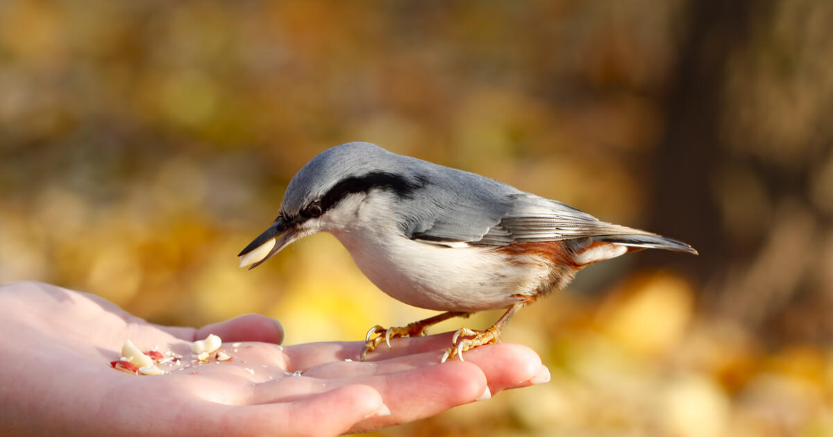 Natuurpunt