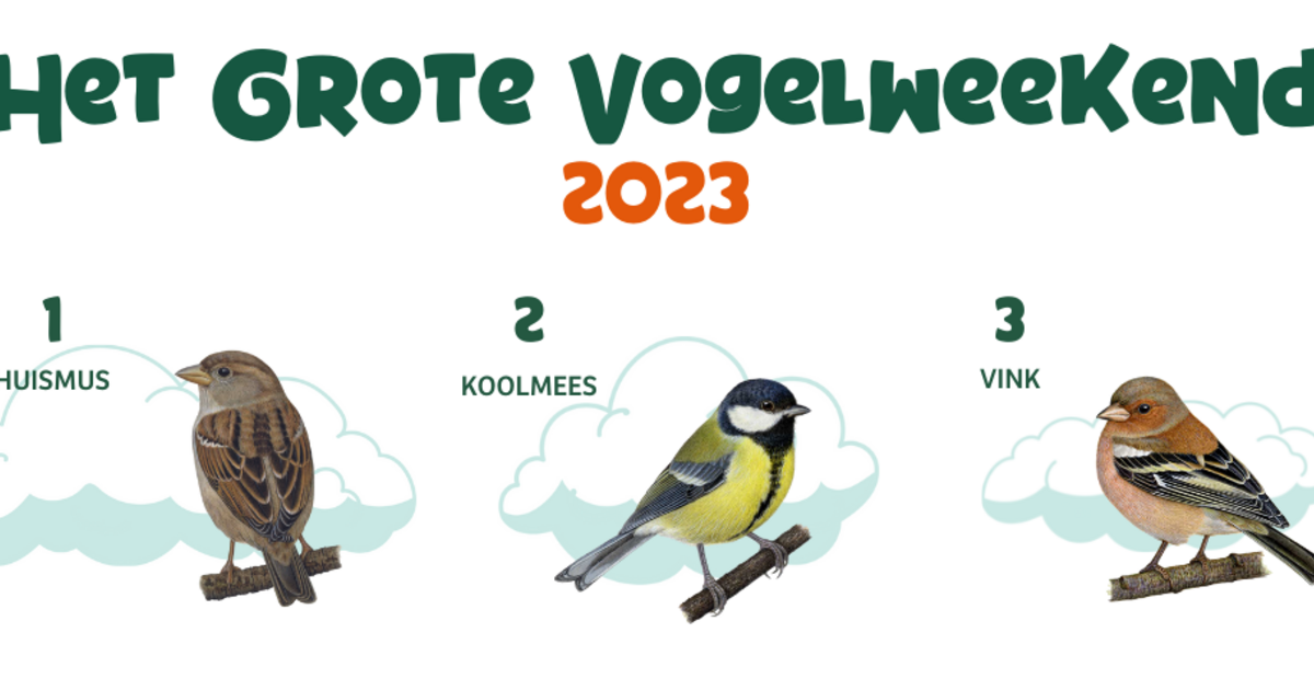 Vogels