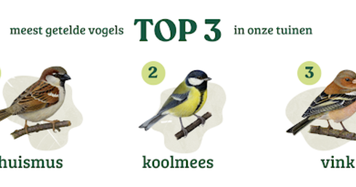 vogeltelweekend 