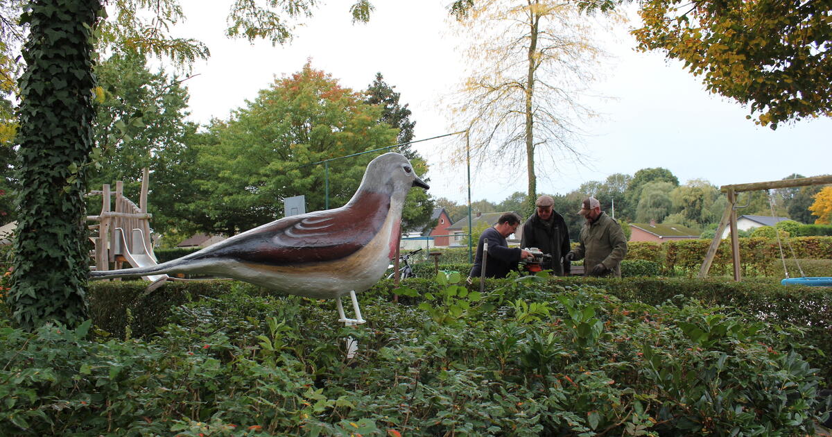 Winkelomheide Wandelingen