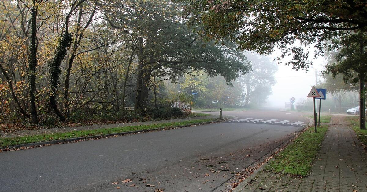Wuytsbergen Ekelen 