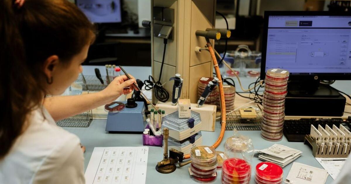 Ziekenhuis Geel LABO 
